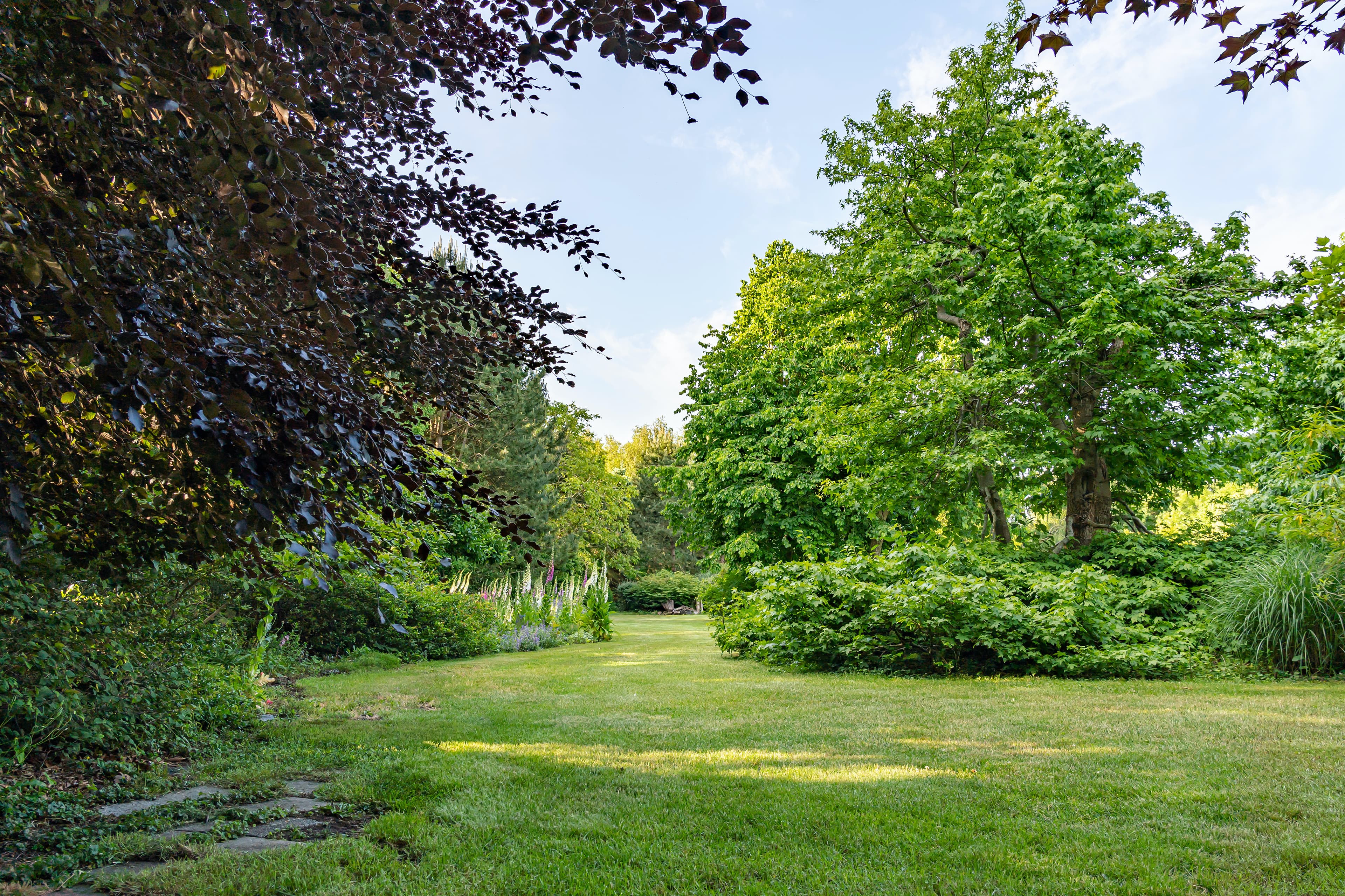 garden