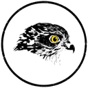 Sparrowhawk Trees Icon