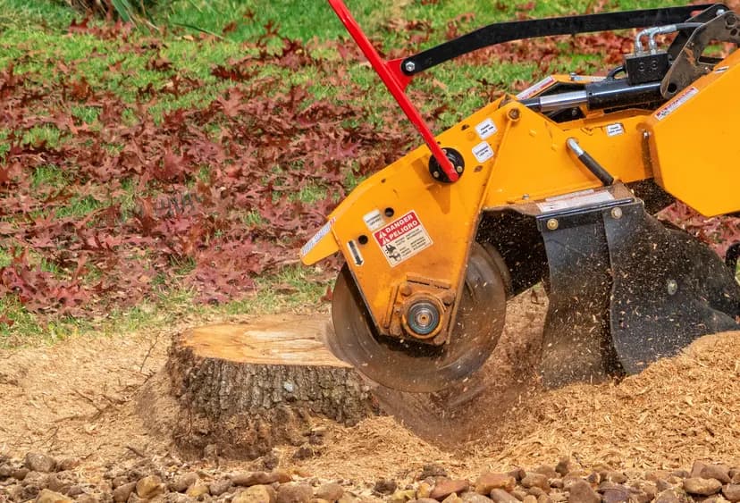 Stump Grinding service