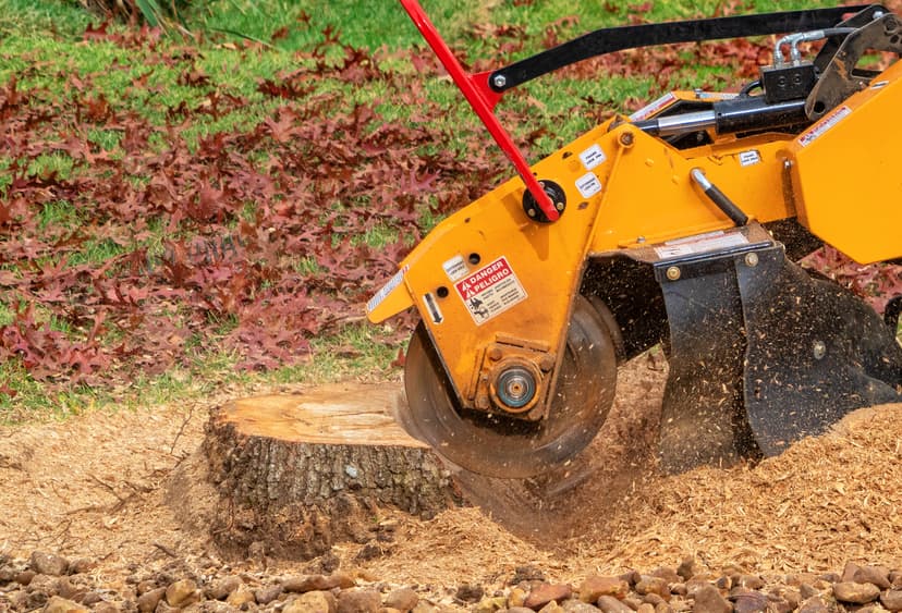 Stump Grinding service